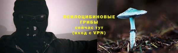 альфа пвп Нефтегорск
