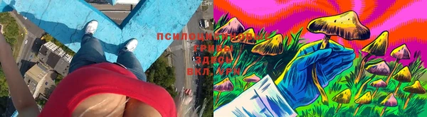 альфа пвп Нефтегорск
