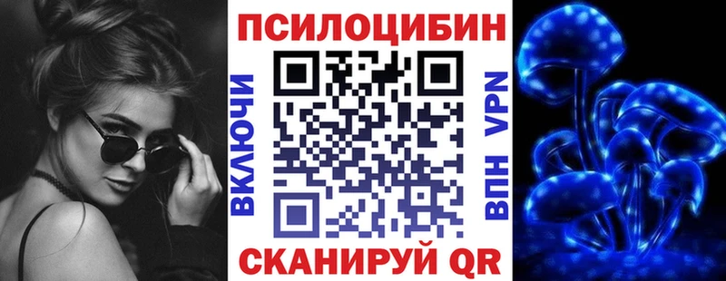 Галлюциногенные грибы Psilocybine cubensis  Себеж 